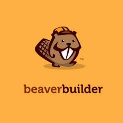 m-beaver-builder-247x247